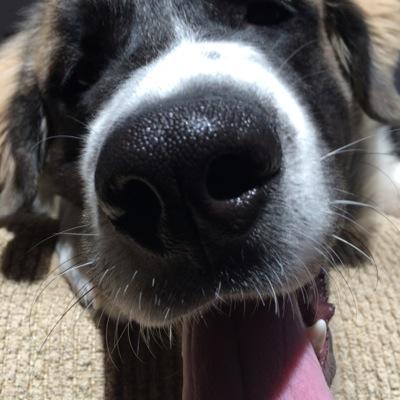 RealBethS's profile picture. 