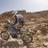 GernikaOffRoad's profile image