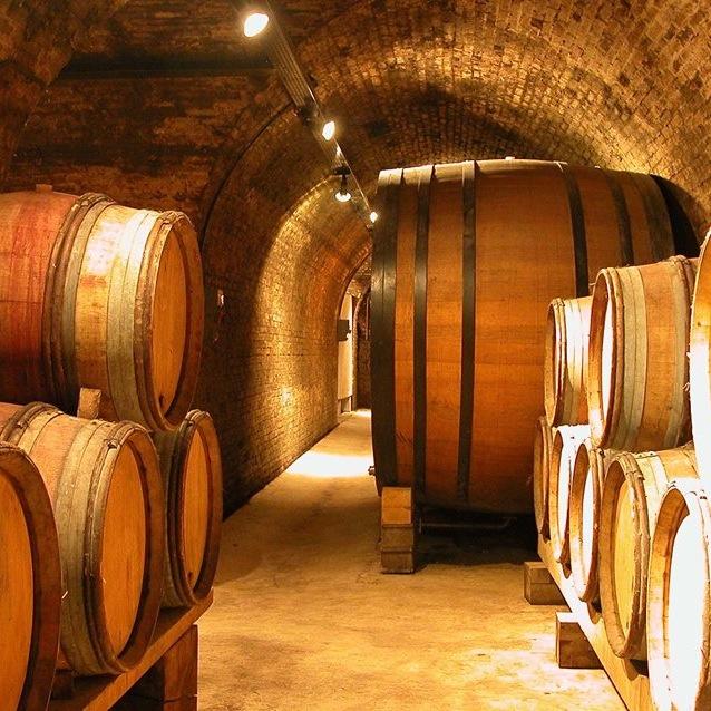 Vigneron de terroirs