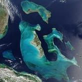 Bahamas' Conservative Political Party