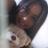 Yessiica_02's profile image
