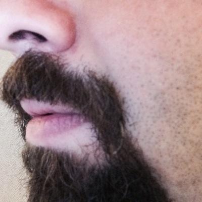 يكفي أن لا تمدح من لا تستطيع انتقاده