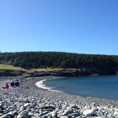 LittleG_NL's profile picture. Proud Newfoundlander, Marketer, Social Media Lady, Cat Mudder, (She/Her)