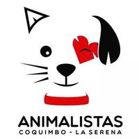 CorporacionACLAS (@adoptalaserena) 's Twitter Profile