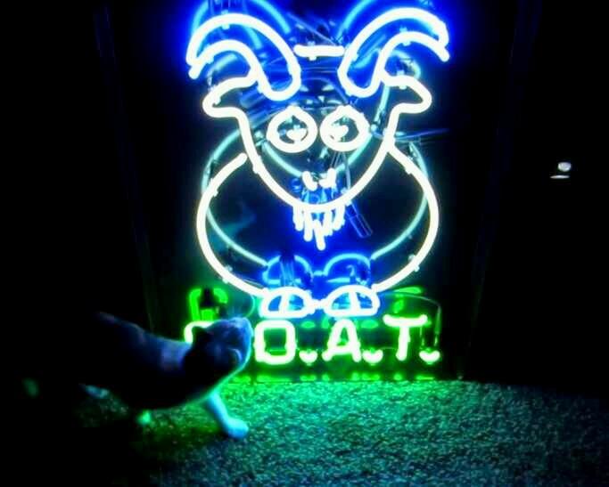 esarrio's profile picture. proud member of the third eye sniping community. i am currently solo. third eye sniping ended