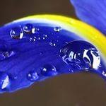 марта янич (@1015_ast) 's Twitter Profile Photo