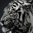 saul moore - @cosworthnutsaul - Twitter