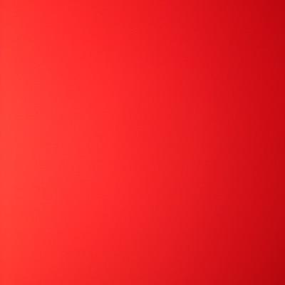 unfollow this account
follow new account
 @josieewalls