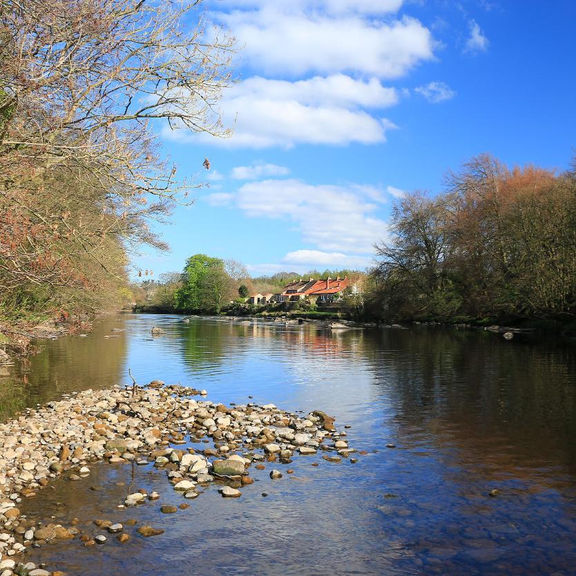 Life on the riverside at Boot and Shoe Cottage self-catering holiday cottage, Wycliffe, Barnard Castle