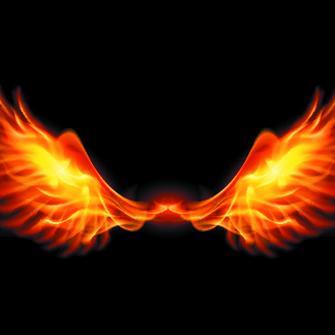 ghjhgfhgjfgjj's profile picture. wfewfwefweewf