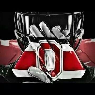 Playoff bound group of fine young men, working to be the best in the OSU history. Protect our QB, open holes for our RBs, and pancake Dlinemen.
