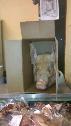 Baggaard's profile picture. Jeg er den notoriske spædekalv, der evigt lægger røv til skidtet...