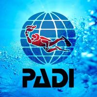 DivemasterInternship (@dminternship) Twitter profile photo