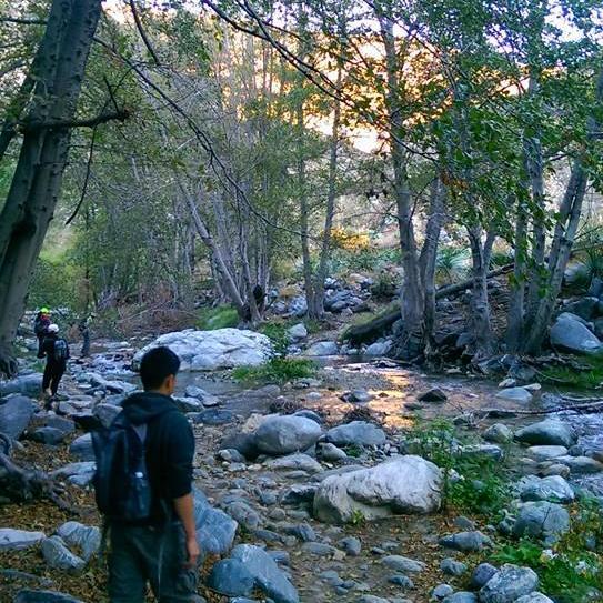 springrainlin's profile picture. 