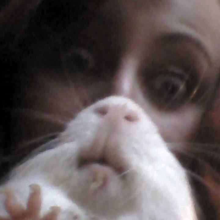 Writer. Guinea pig momma. Pandas. Spirituality. Pretty much sums me up...