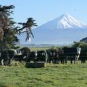 Janet Bourne - @LIHLBC - Twitter