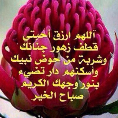 nasserrsh's profile picture. 