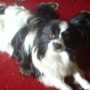 Leanne Burton - @leanneburton733 - Twitter