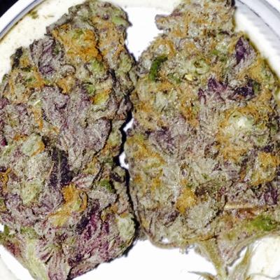 DankXDrank's profile picture. #DrugFamily #WeedSquad #BullsNation