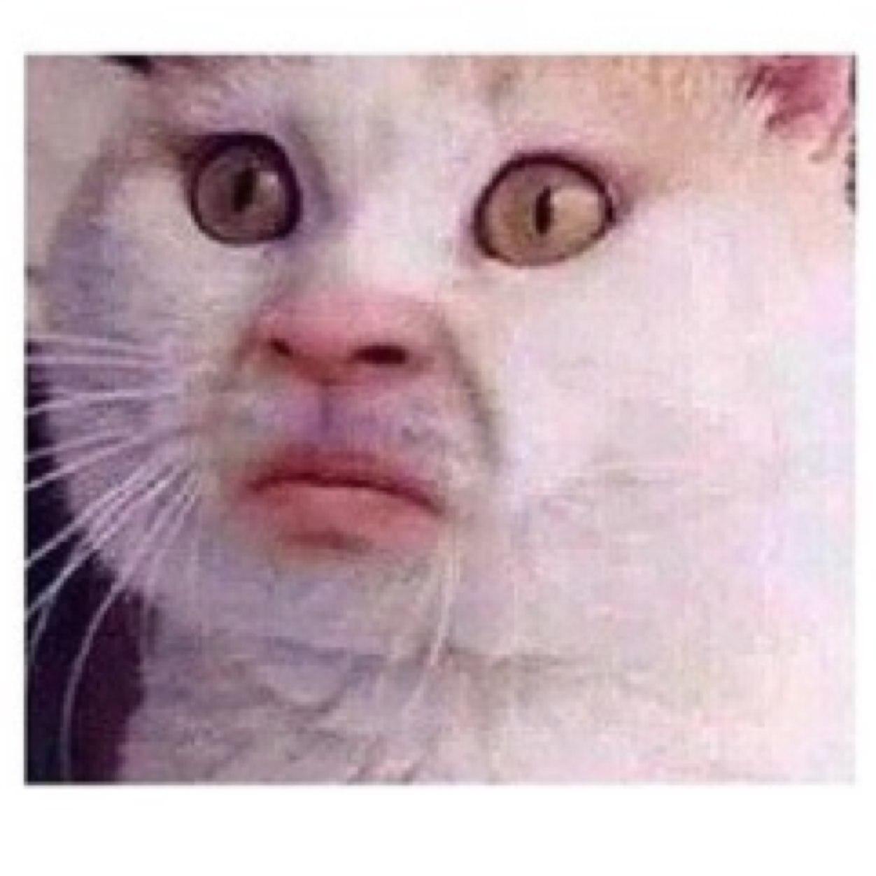 realcalfreezy's profile picture. all youtubers are sick imo