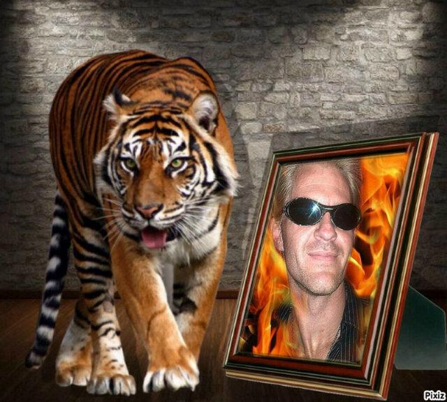 Snakeman40000's profile picture. Breed and keep  reptiles en snakes