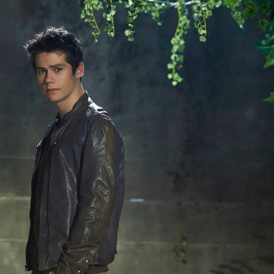 Bookde_Tom's profile picture. Inmune|| Corredor|| Eres muy gracioso deberías ir a hacer reír a los penitentes, a ver si logras hacerlos reír