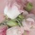 Hessa.. almufairej (@hessa60_) Twitter profile photo
