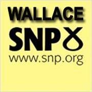 Wallace Branch SNP covers Lanark and surrounding villages.
Promoted By Wallace Branch SNP, Gordon Lamb House 3 Jackson's Entry Edinburgh EH8 8PJ