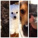 Jenni Wright - @Jlwright01 - Twitter