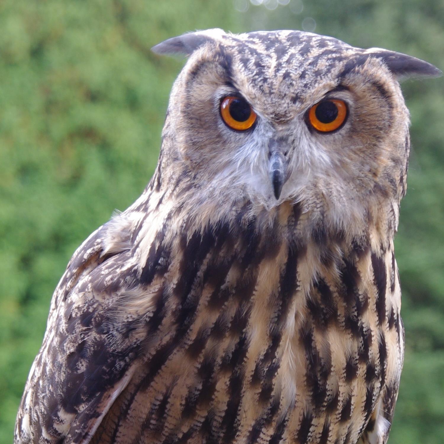 KeezaOxford's profile picture. 