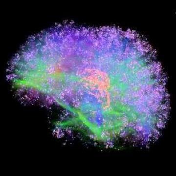 RambitSae's profile picture. 