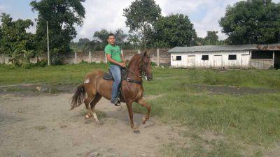 HomeroAbad's profile picture. 