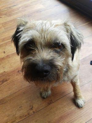 Hotfeet29's profile picture. 