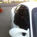 Bonnie Steward - @BonnieSteward3 - Twitter