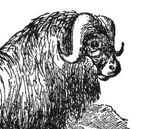 Moronic Ox Literary and Cultural Journal