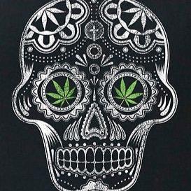 I fly like paper, get high like planes