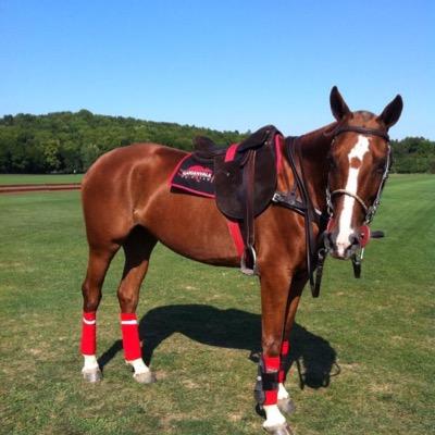 Gilbertoterron2's profile picture. 