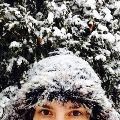 I develop software. https://t.co/NN90px5DAy