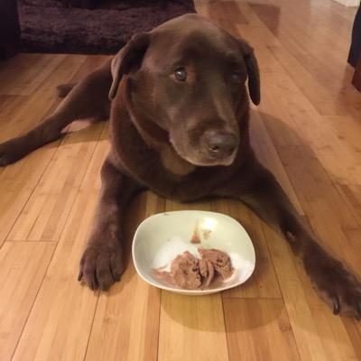 Tabrezy's profile picture. You can easily judge the character of a man by how he treats those who can't do anything for him.  James D. Miles  --- Marketing Director for @iamsportsent