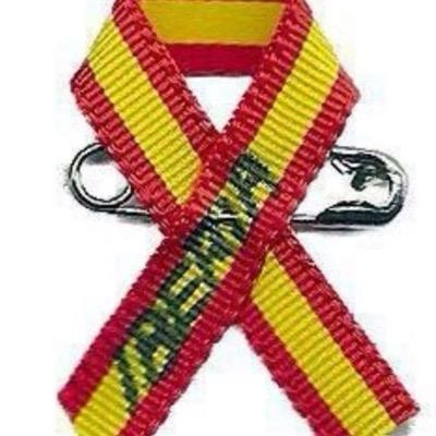 Michelbarbudo's profile picture. Español preocupado por su país y su familia. Piloto de vocación y profesión. Amante del deporte.