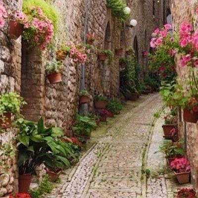 _Mram1_'s profile picture. ضَع قلبَك على حافّة السّماءوادعُ اللّه أن يُمطِره طهرًا وقُل ياربّ : قلبِي هالكٌ بظلامِ الدُنيا ، فأنِره بحبك وقربك وحسن عبادتك