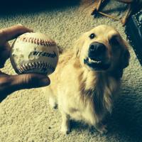 Stephanie Hoeper (@stephhoeper) 's Twitter Profile Photo