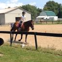 Susie Tiner - @SusanTiner - Twitter