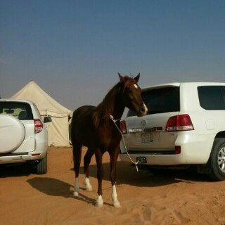 Rfm_999's profile picture. 