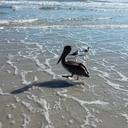 Brian Mead - @bmead6785 - Twitter