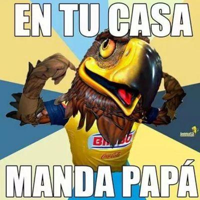 jesusb2605's profile picture. 