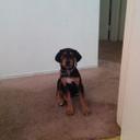 jaden Patrick - @jaden1201 - Twitter