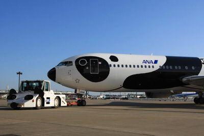 shuuu_u's profile picture. 航空関係の仕事に従事してます。