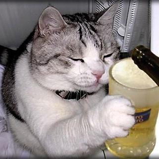 じわじわくる面白画像 Ar Twitter 食器洗剤とグリセリンを水で溶かして24時間放置するだけでできる不思議なシャボン玉 すごい びっくり ためになる バイラルメディア 自由研究 ねっと