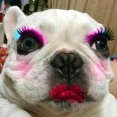 Tim10112abc's profile picture. #NeverTrump “Those who can make you believe absurdities, can make you commit atrocities.”